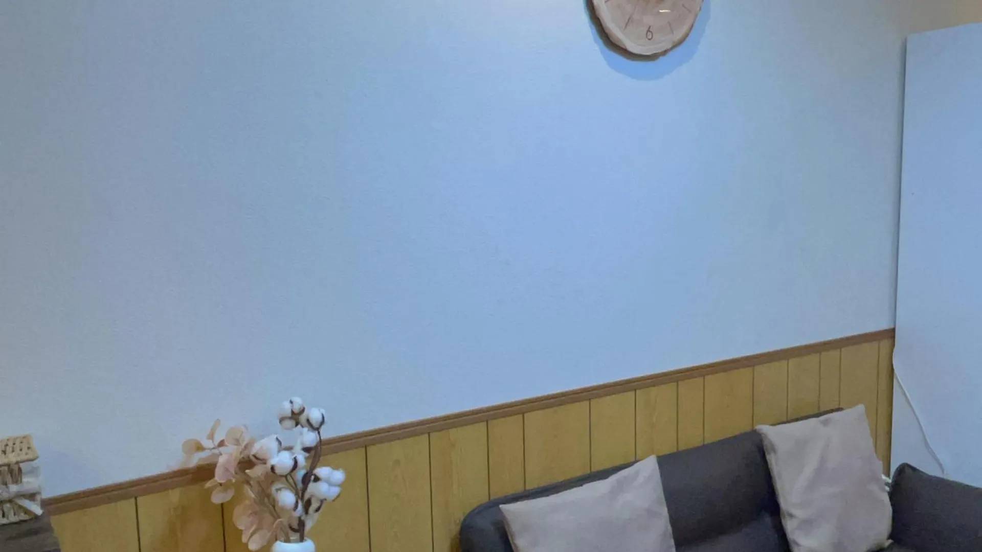 禪居 Zen House A 日本整棟公寓 Osaka 0*,